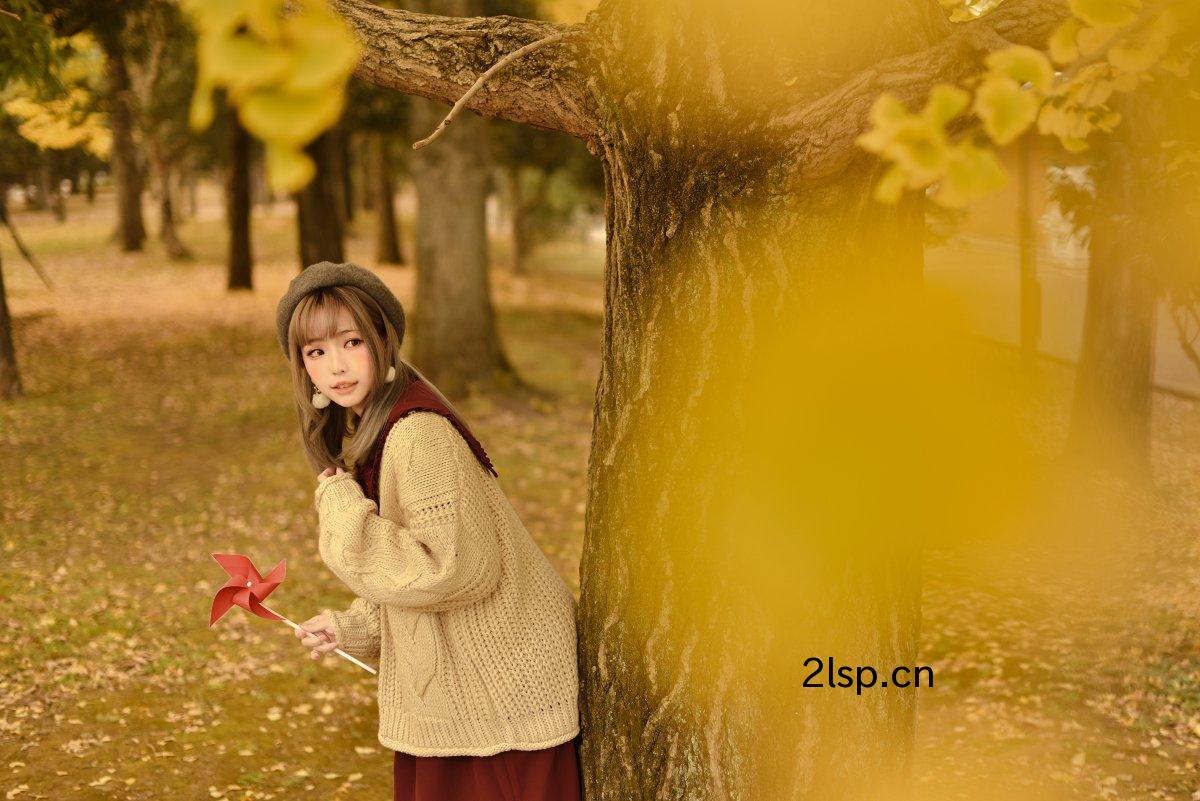 Coser@ElyVol.029Autumn