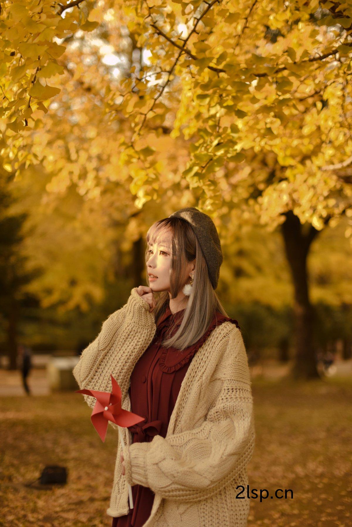 Coser@ElyVol.029Autumn