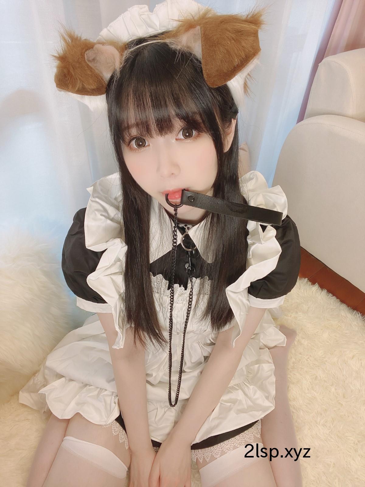 Coser@Shimo-–-Puppy-MaidShimo